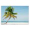 Stupell Industries Barrier Reef Island Palm Wall Plaque, design by Danita Delimont